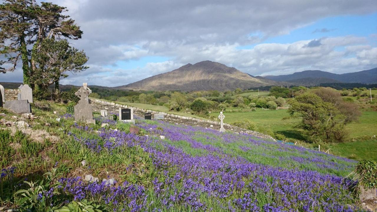Kenmare Eco Lodge Exterior foto